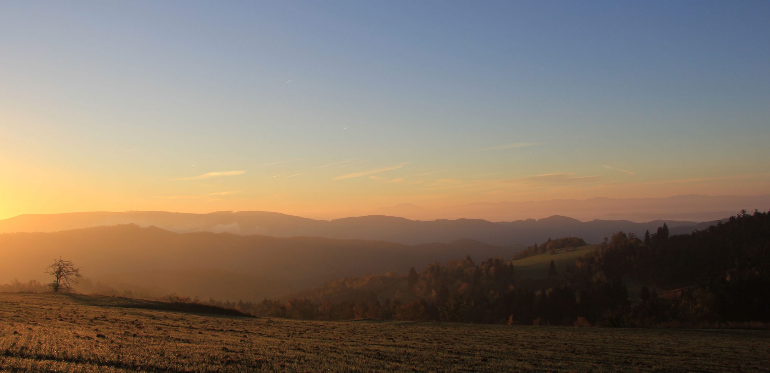 Blick über die Hügellandschaft des Waldviertels